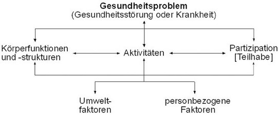 Internationale Klassifikation der Funktionsfähigkeit, Behinderung und Gesundheit (WHO 2005, S. 23).  Die sechs ICF-Komponenten: Aktivitäten, Körperfunktionen/-strukturen, Partizipation, Gesundheitsprobleme, Umweltfaktoren und personbezogene Faktoren. Die Abbildung verdeutlicht die dynamische Interaktikon der Komponenten. Die Funktionsfähigkeit einer Domäne wird in der konkreten Lebenssituation betrachtet. So resultiert sie aus einer Wechselwirkung zwischen Gesundheitsproblemen und Kontextfaktoren. Interventionen bezüglich einer Komponente können alle anderen Komponenten verändern (ICF 2005, S. 23; Stewart / Rosenbaum 2003). 